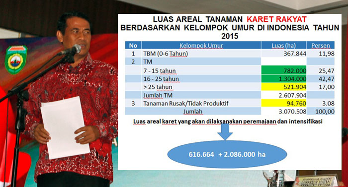 Tumpang Sari dan `Replanting`, Solusi Mentan Naikkan Harga Karet